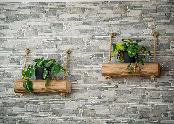 Alpin Chic - Aare Jungfrau Ag 格林德瓦