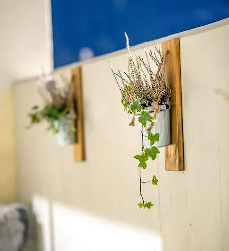 Alpin Chic - Aare Jungfrau Ag * 格林德瓦