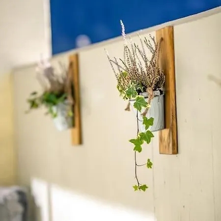 Alpin Chic - Aare Jungfrau Ag * Grindelwald